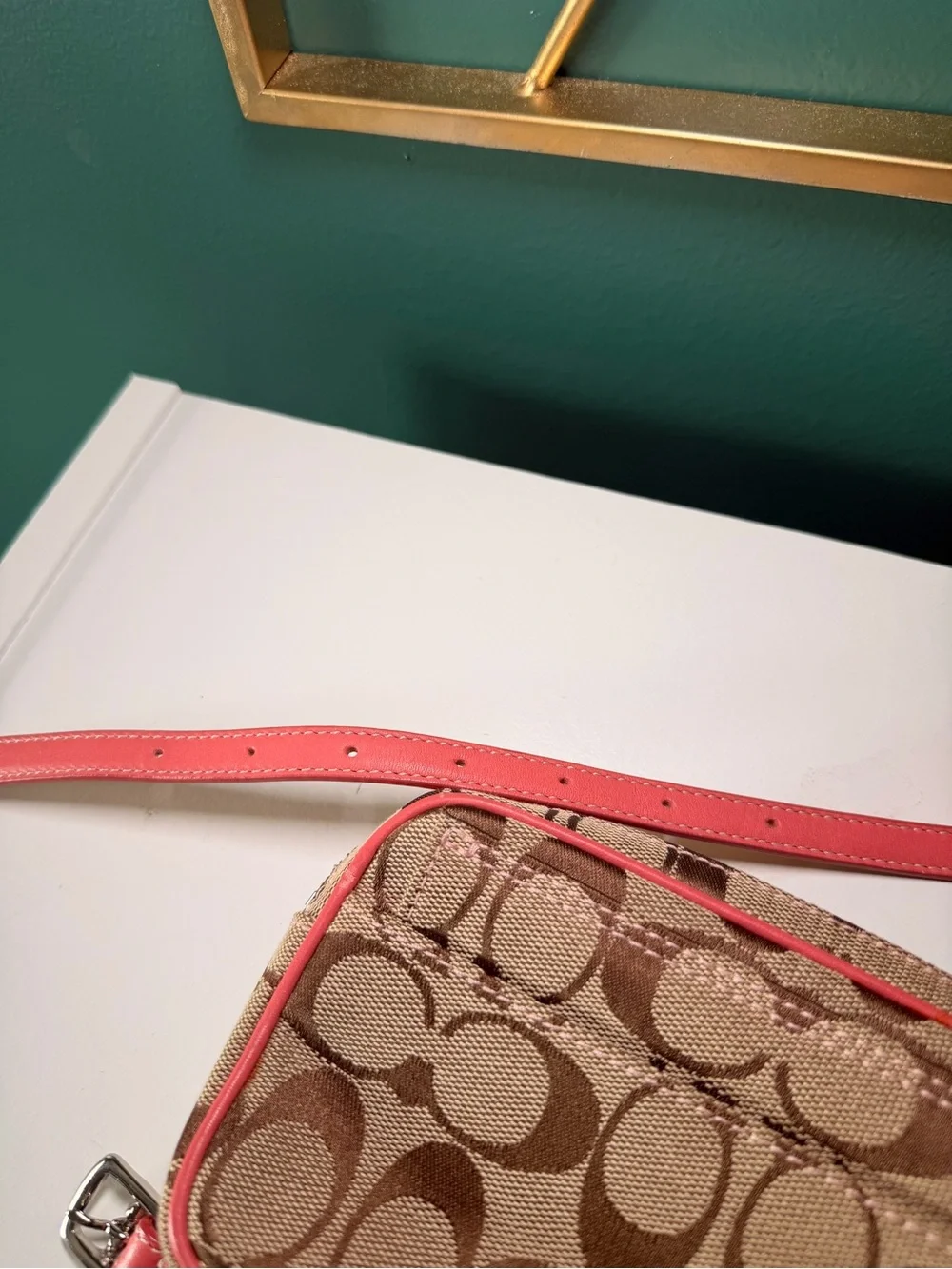 Coach Signature Canvas Belt Bag